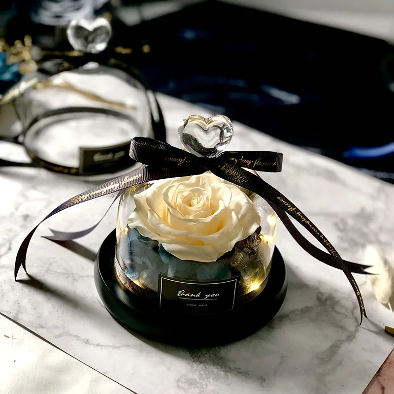 الجمال والوحش حفظ هدية عيد الح - مراجعة Decor Timeless Lighting وسعره